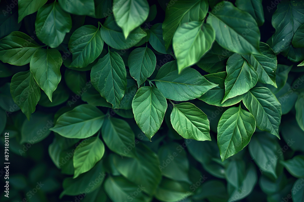 Close-up of green mint leaves with blur. Generated by artificial intelligence Close-up of green mint leaves with blur. Generated by artificial intelligence