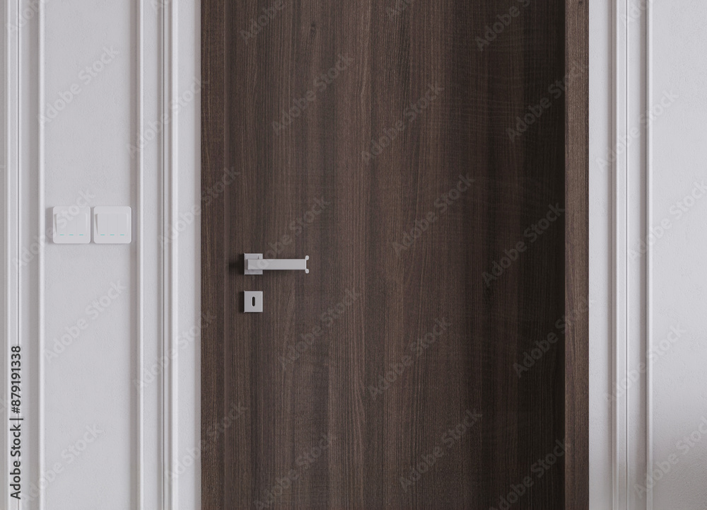 Door knob or handle on wood door panel. Door knob or handle on wood door panel.