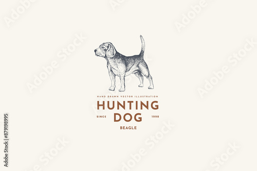 Logo template with a hunting dog in engraving style. Emblem with dog breed Beagle on a light background. Vector vintage illustration of a pet.