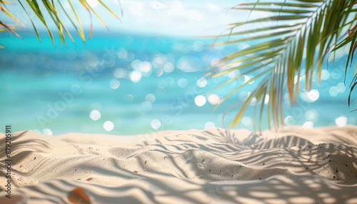 Fototapeta Naklejka Na Ścianę i Meble -  The shadow of a palm tree leaf falls on the sandy beach near the waters edge by the ocean