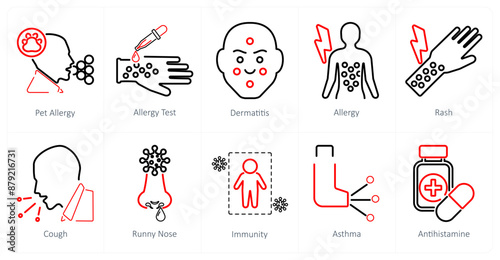 A set of 10 allergy icons as pet allergy, allergy test, dermatitis