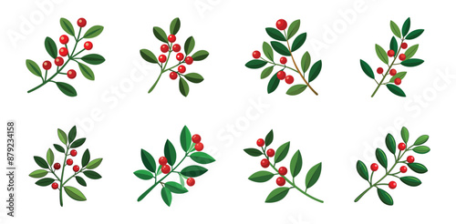 Branches of holly with red berries arranged in different styles. Vector cartoon illustration of Christmas decoration.