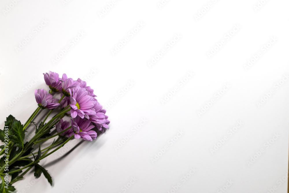 Chrysanthemum on a white table. A bouquet of flowers. Chrysanthemum. White background Chrysanthemum on a white table. A bouquet of flowers. Chrysanthemum. White background