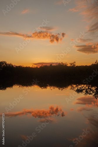 Amazon Rainforest.