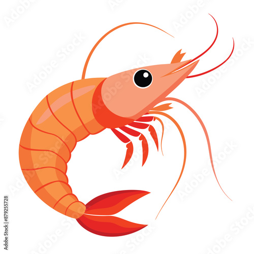 illustration of shrimp