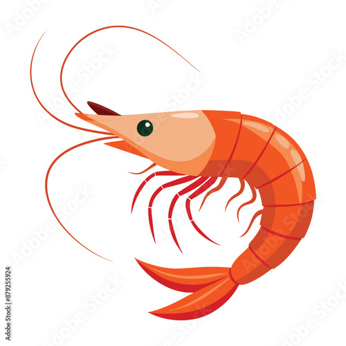 illustration of a shrimp