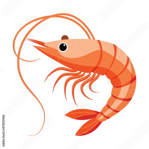 illustration of a shrimp