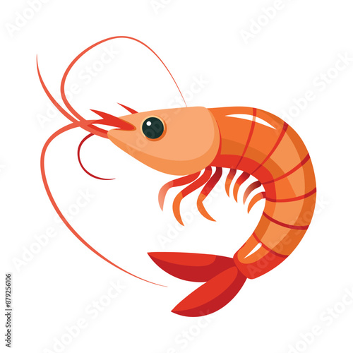 shrimp white background