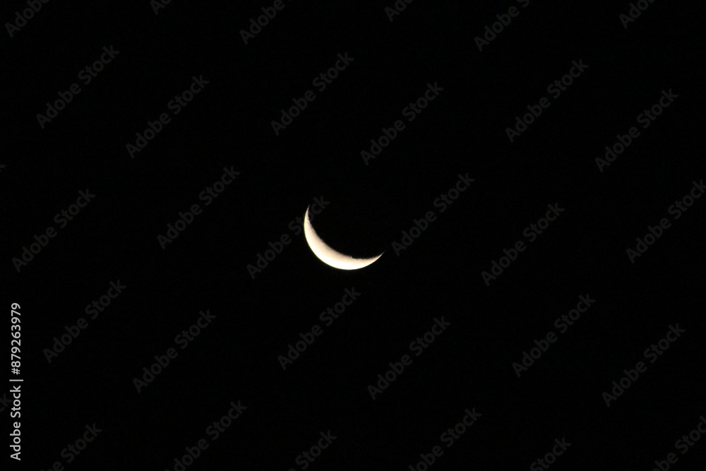 三日月　Crescent