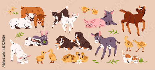 Cute baby farm animals set. Adorable kids of cow, goat, sheep. Amusing puppies, kitten, foal, lamb, goatlings have fun. Funny chickens, rabbits, piglets, calves. Flat isolated vector illustrations