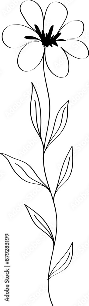 Outline flower isolated on transparent background. Vector hand drawn flower. Floral branches. Design for logo, wall art, tattoo, branding and packaging. Vector EPS 10 Outline flower isolated on transparent background. Vector hand drawn flower. Floral branches. Design for logo, wall art, tattoo, branding and packaging. Vector EPS 10