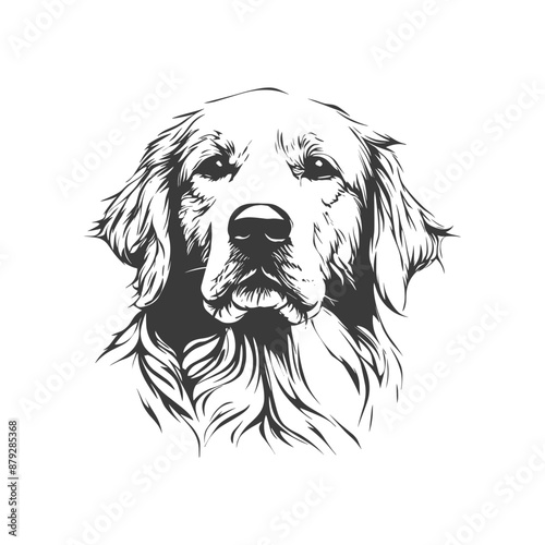 Vector golden retriever dog portrait silhouette illustration isolated on white sketch in black