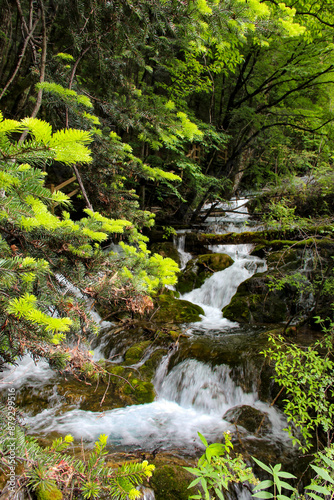 waterfall in the forest, Jiuzhaigou Valley Scenic, Sichuan, China