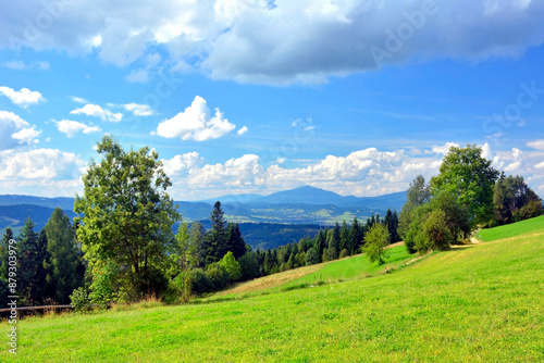 Fototapeta Naklejka Na Ścianę i Meble -  View of the Beskids mountains in summer sunny day, Poland