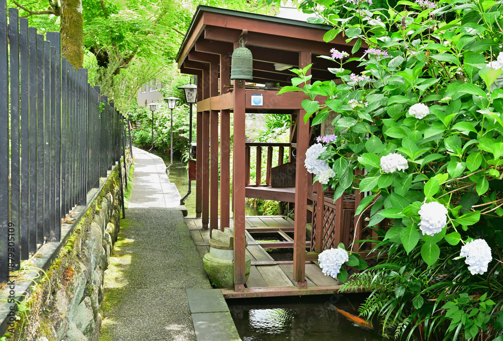 いがわこみちの風景 岐阜県郡上市八幡町 いがわこみちの風景 岐阜県郡上市八幡町