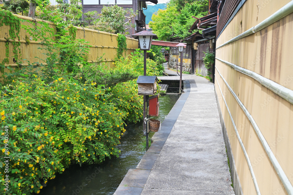 Obraz premium いがわこみちの風景 岐阜県郡上市八幡町