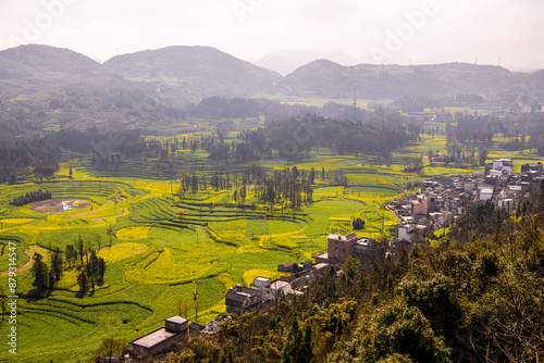 Scenic rural town with yellow fields and trees against cloudy sky in Luosi Field, Luoping China photo