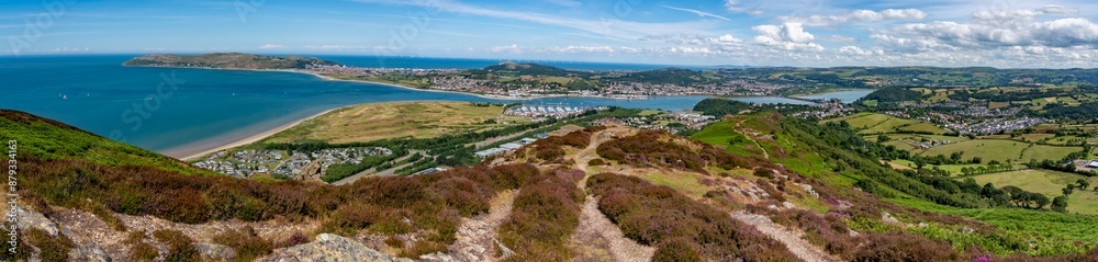 Heather in full bloom on Conwy Mountain North Wales Heather in full bloom on Conwy Mountain North Wales