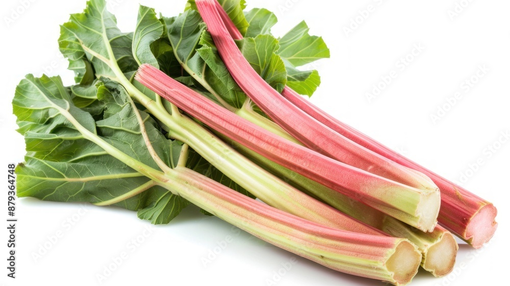 Rhubarb fruit on white background Rhubarb fruit on white background