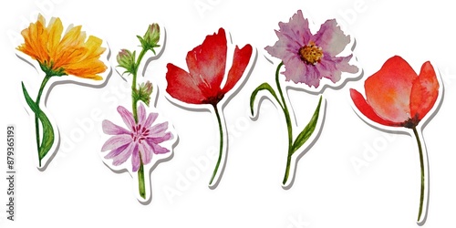 Hand drawn Set of watercolor flowers stickers white background 