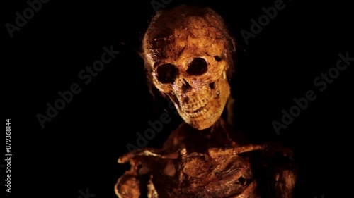 Mummy Comes From Dark