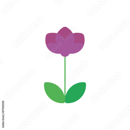 flower illustration collection