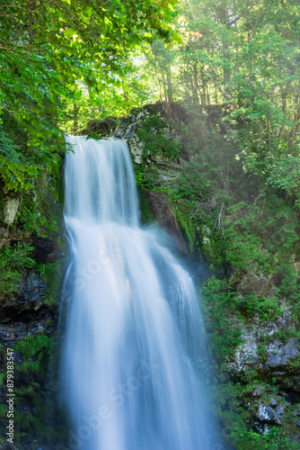 waterfall in the forest