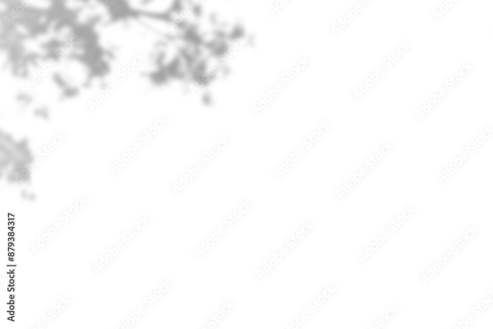 Plant shadow png, Botanical shadow in transparent background, design palm tropical leaves. Black and white branch shadow overlay effect. For business cards, Plant shadow png, Botanical shadow in transparent background, design palm tropical leaves. Black and white branch shadow overlay effect. For business cards,