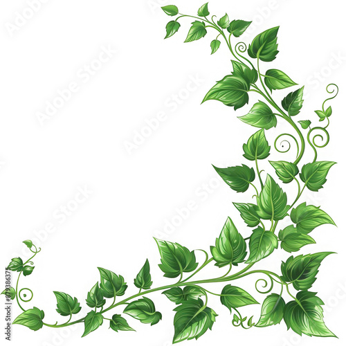 Green Vine Corner Border.