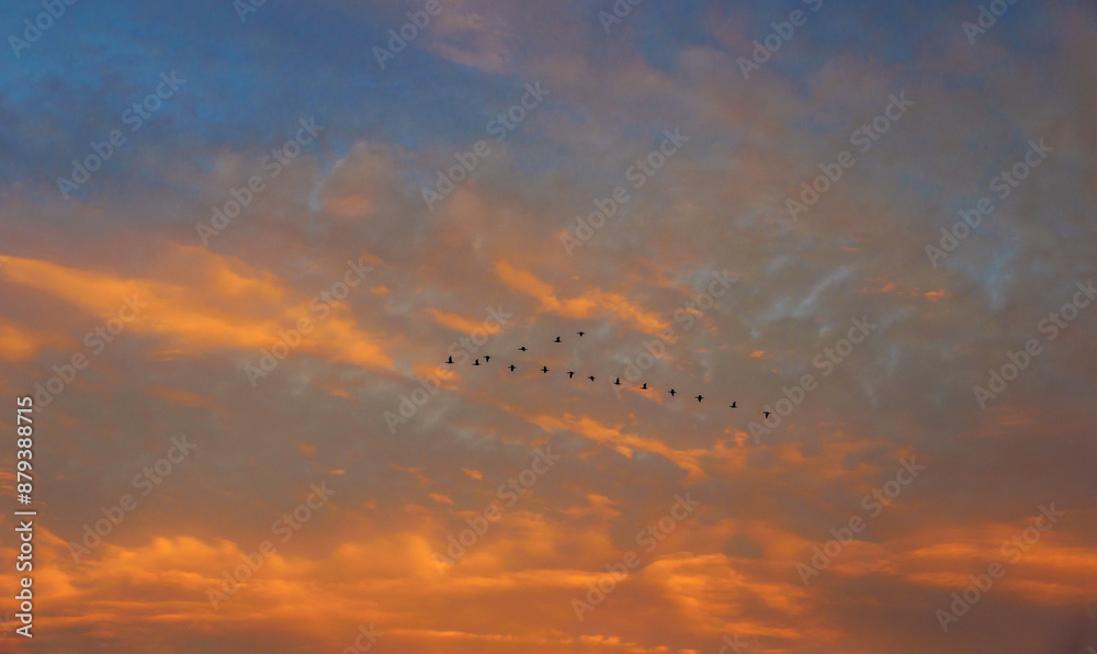 Sunrise sky on twilight in the evening