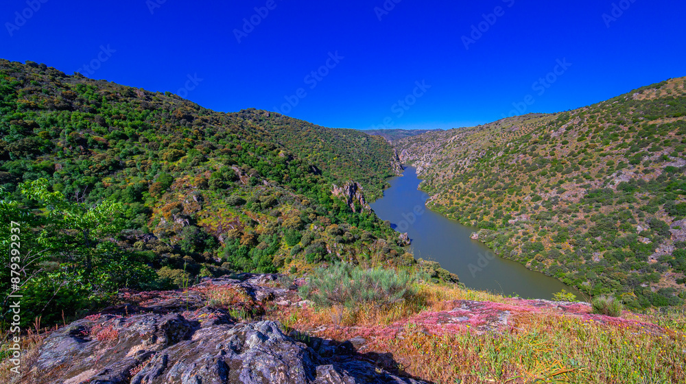Obraz premium Mirador del Duero Viewpoint Walking Route, Arribes del Duero Natural Park, SPA, SAC, Biosphere Reserve, Salamanca, Castilla y León, Spain, Europe