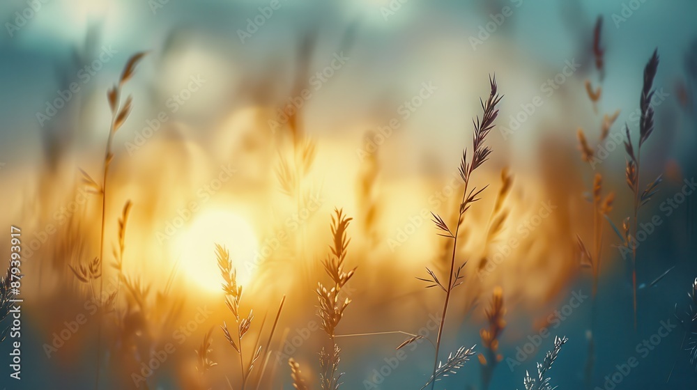 The golden light from a setting sun bathes a field of tall grass, creating a tranquil and picturesque scene that embodies the beauty and serenity of nature at dusk. The golden light from a setting sun bathes a field of tall grass, creating a tranquil and picturesque scene that embodies the beauty and serenity of nature at dusk.