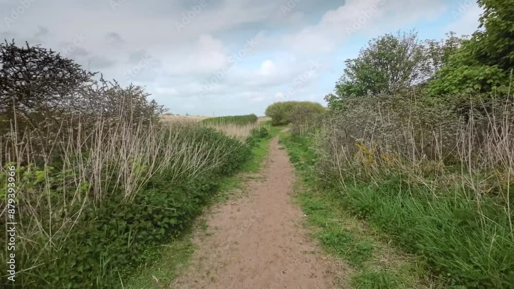 Country path surrounded by grass and a old wooden fence.