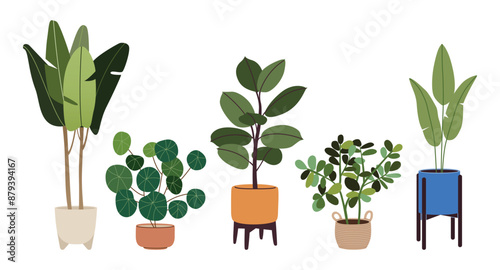 Potted plants set. Indoor houseplants in flowerpots. Trendy home decor with indoor plants in Scandinavian style pots. Colorful house flowers. Flat vector illustration isolated on a white background.