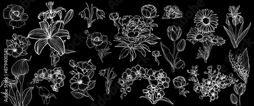 Bundle vector outline of various flowers such as flowers, leaves, buds of poppy, tiger lily, calla, hibiscus, snowdrop, cherry blossom, daisy, iris, lily of the valley, orchid, peony, tulip