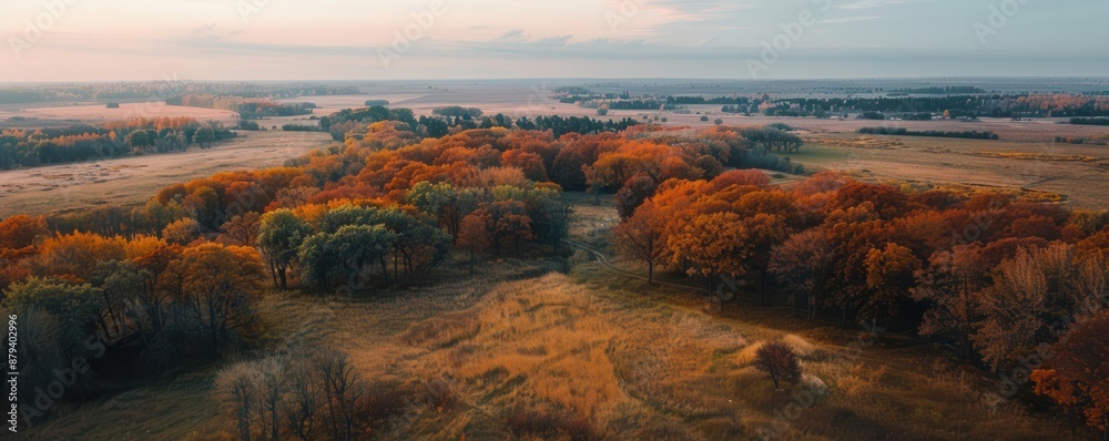 Aerial view of a forest in autumn with colorful leaves and a misty background. Aerial view of a forest in autumn with colorful leaves and a misty background.