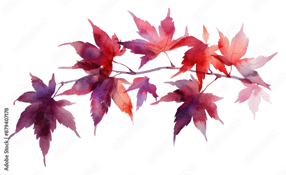 PNG Watercolor autumn maple leaves illustration PNG Watercolor autumn maple leaves illustration