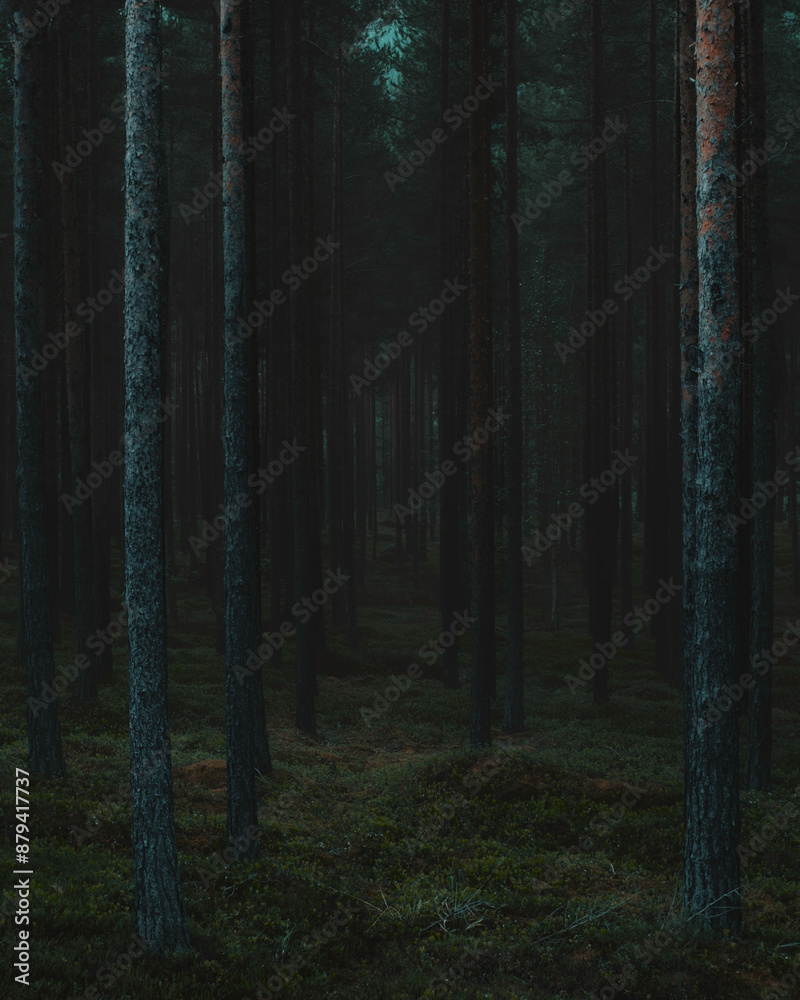 Landscape photography of Photobypal. Try to capture the mood that the landscape gives me. Hope you like it Landscape photography of Photobypal. Try to capture the mood that the landscape gives me. Hope you like it