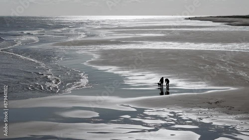 People, couple and their dog walking alone a deserted beach as the sun sets turning the sea to silver and the people to silhouettes