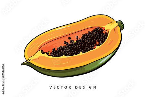 exotic papaya fruit vector design isolated illustration
