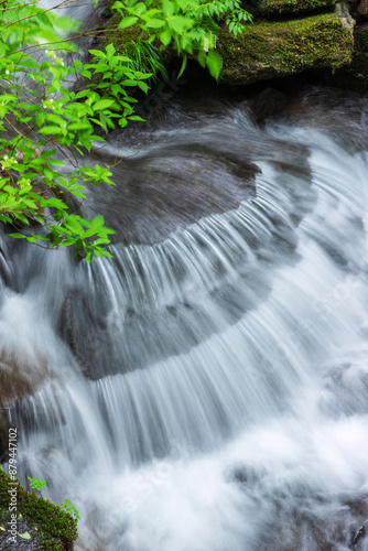 waterfall in the forest