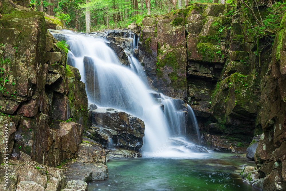 Obraz premium waterfall in the forest