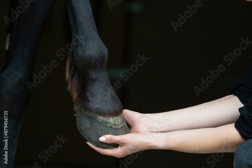 hand and hoof horse and human connection connect photo