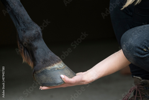hand and hoof horse and human connection connect photo