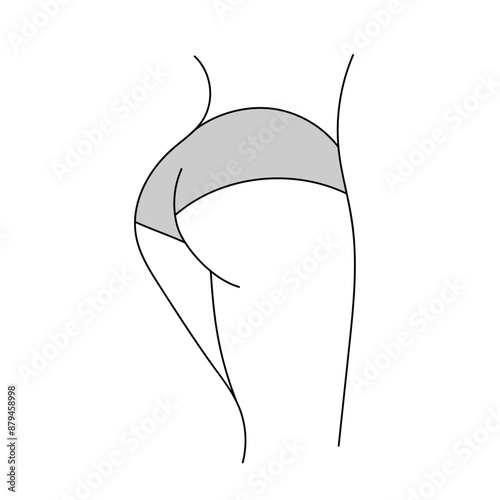 Female buttocks line art illustration. Woman body butt, ass silhouette.