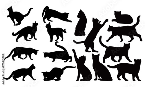 Black Cat Set Isolated White Background