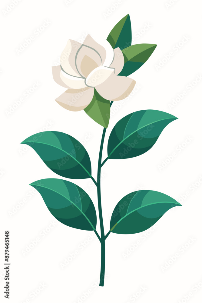 Fototapeta premium Gardenia plant minimal design vector illustration