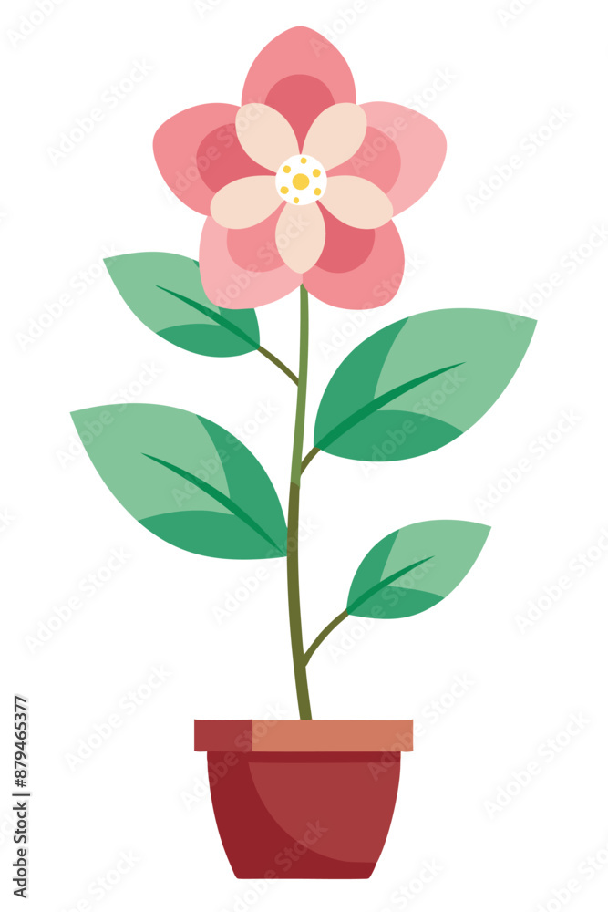 Hellebores plant minimal design vector illustration Hellebores plant minimal design vector illustration