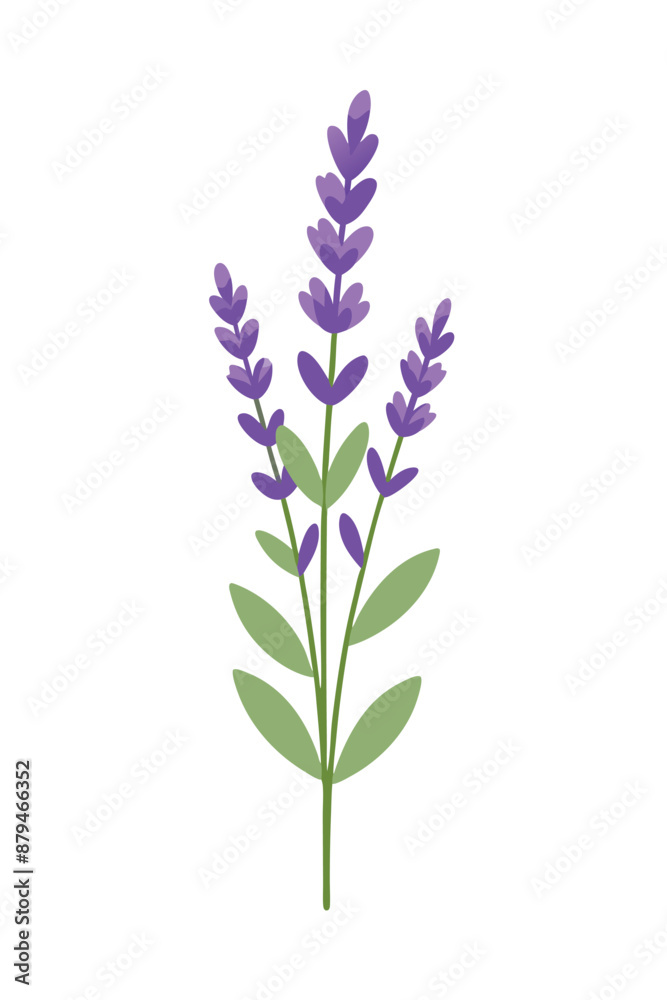 Naklejka premium Lavender plant minimal design vector illustration