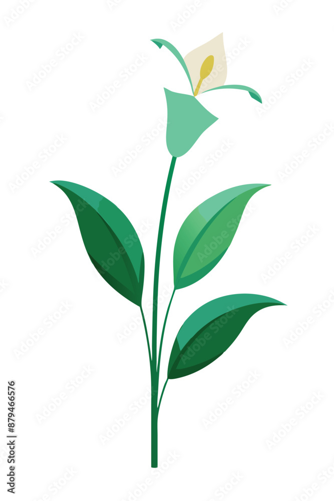 Fototapeta premium Lily plant minimal design vector illustration